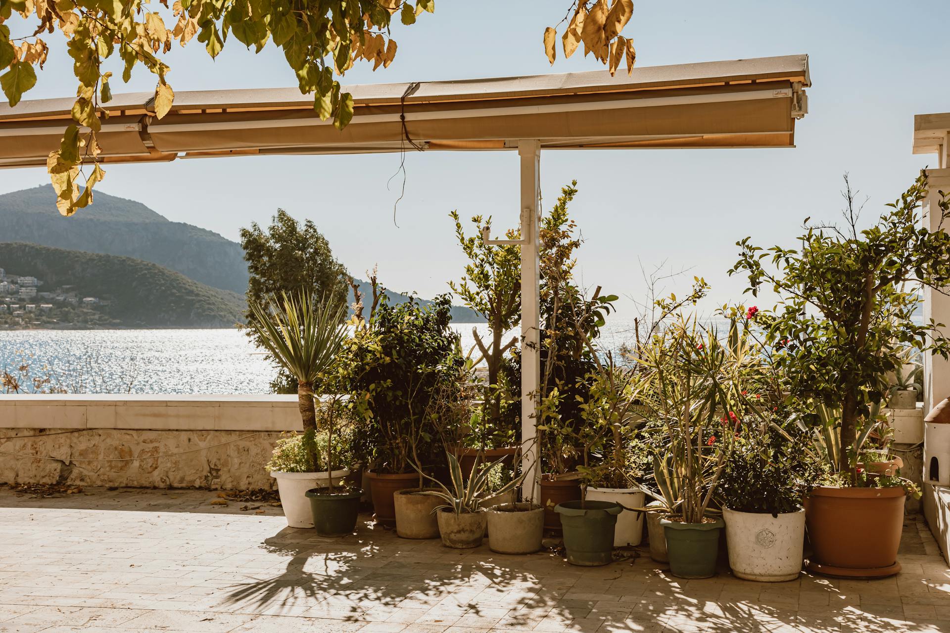 Terrasse pinède au matin avec pots méditerranéens et vue baie